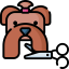 Favicon